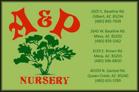 Ap nursery. A&P Nursery is a family-owned and operated nursery that specializes in plants, trees, shrubs, and more for home and gardening. It has four convenient locations in Mesa, Gilbert, and Queen Creek, and offers lawn equipment, pond plants, Echo equipment, and more. 