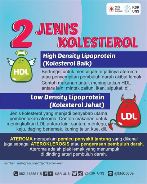 Apa Itu Kolesterol, HDL, dan LDL? - aido