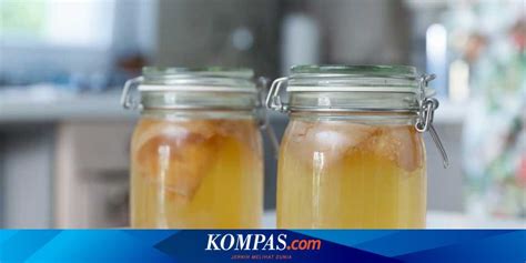 Apa Itu Kombucha, Teh Fermentasi dari Campuran Bakteri dan …