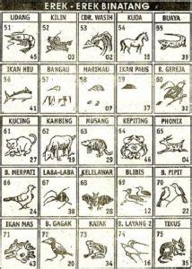 Apa artinya how old are you. Erek binatang berang berang.