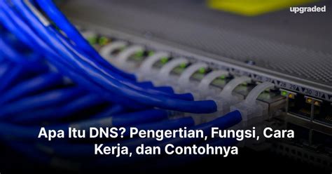 Apa itu Reverse DNS ? Fungsi dan manfaatnya - Knowledgebase ...