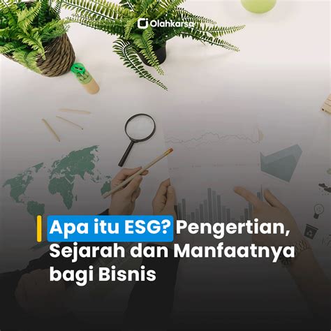 Apa itu phytoextraction? Pengertian phytoextraction dan …