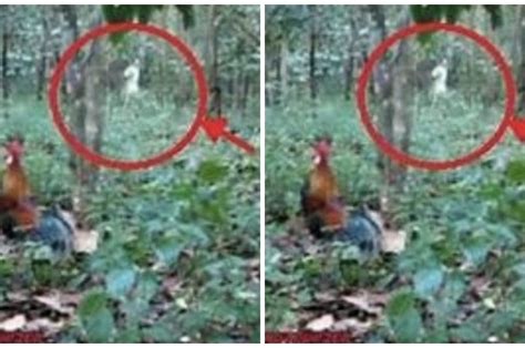 Apakah nafsu adalah makhluk. .  <a href=https://kvs-sb.ru/bitrix/admin...