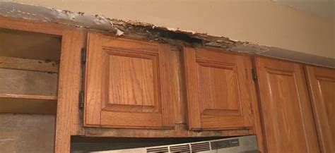 Apartment of horrors: Tenant dealing with unsafe conditions, insect infestations