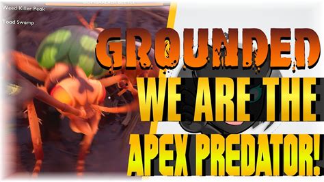 Apex predator grounded. jshepler Oct 25, 2022 @ 7:28am. I've used unarmed + power droplet + lil fist + truffle tussle + assassin + chopper + javelineer + brood helm + fire ant chest/legs + fire ant shield and pretty much destroy everything. I've killed widows and schmector without problems. That was before 1.04's nerfs, but I assume going unarmed with the power ... 