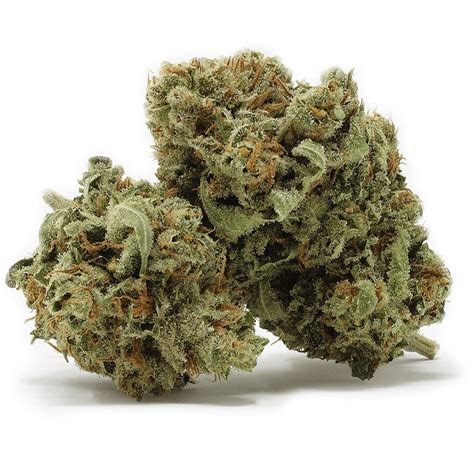 Ethos Genetics Ethos Apex R1 is a cannabis plant created from a cross between two powerful genetics such as Mandarin Cookies and Lillac Diesel #10. The hybrid obtained is a highly productive variety that provides a very powerful relaxing effect, an abundant bud production and a stunning and explosive terpenes profile.. 