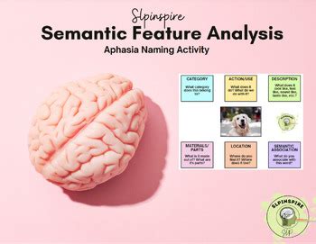 Aphasia Semantics Teaching Resources TPT - TeachersPayTeachers