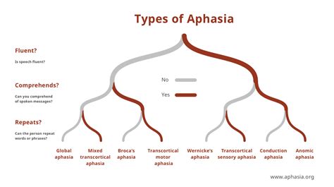 Aphasia Types Chart