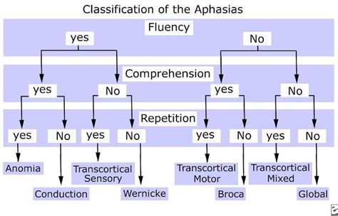 Aphasia Types Flowchart