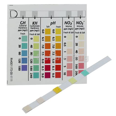 Api 5 In 1 Test Strips Color Chart A Visual Reference of Charts