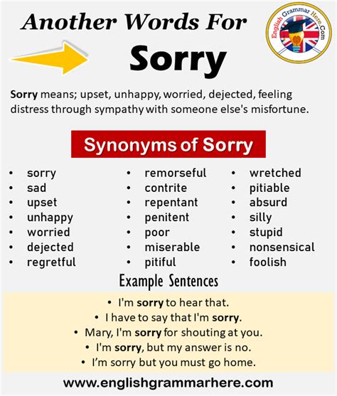 Apology Synonyms & Antonyms Synonyms.com