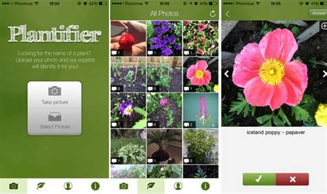 App that recognises plants. Things To Know About App that recognises plants. 
