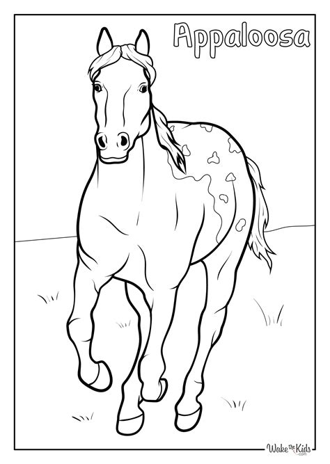 Appaloosa Coloring Page