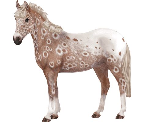 Appaloosa sso