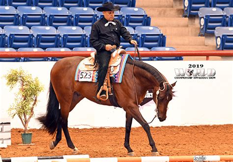 The schedule is now online for the 2020 Appaloosa World Show and Appaloosa Youth World Show. Click here to view the schedule. Recently Added. From The Publisher September 28, 2023; EC Photo of the Day - Favorite Book of Neighs September 28, 2023;. 