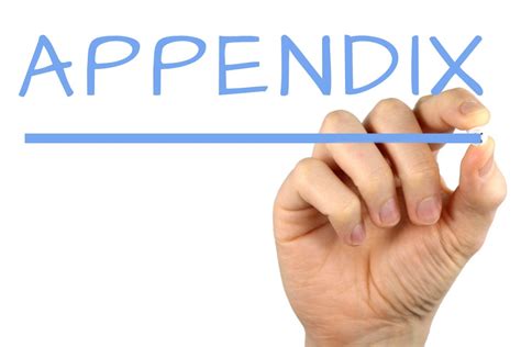 Appendix Free of Charge Creative Commons Handwriting image