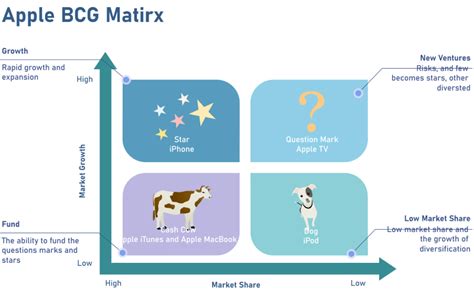 Apple Case Study Matrix Analysis