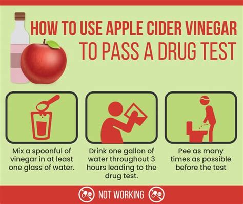 Apple Cider Vinegar To Pass A Saliva Drug Test