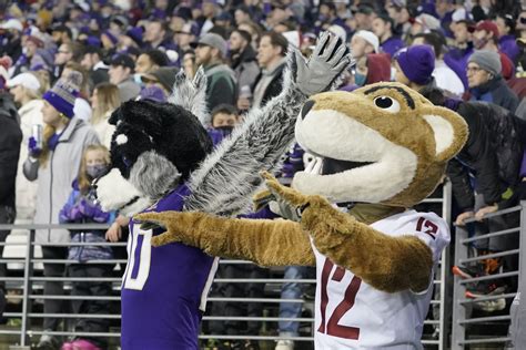 Apple Cup: WSU and Washington agree to continue series after Pac-12 breaks apart