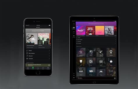 Apple Music Alternative App