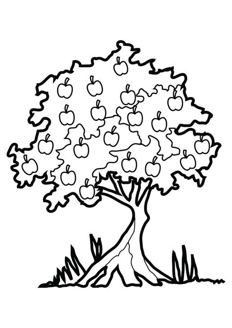 Apple Tree Coloring Page Free Printable Coloring Pages