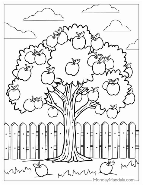 Apple Tree Coloring Page Kindergarten Coloring Pages Easy Coloring Pages Tree Coloring Page