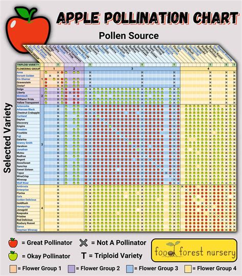 Apple Tree Pollinators Chart