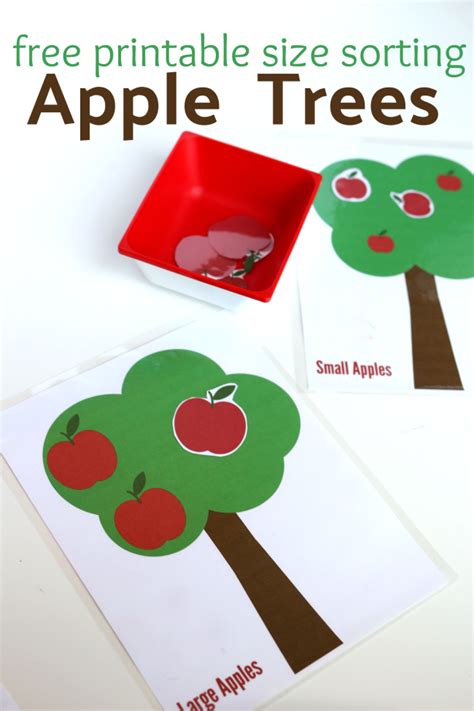 Apple Tree Size Sorting Free Printable for Preschool No Time For