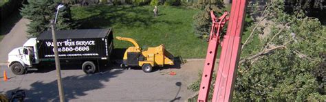 Apple Valley, MN - Valley Tree Service Tree Trimming, Stump …