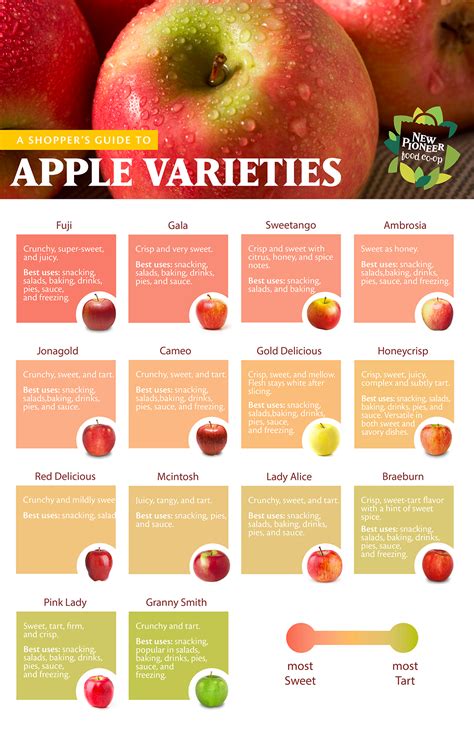 Apple Varieties Identification Guide
