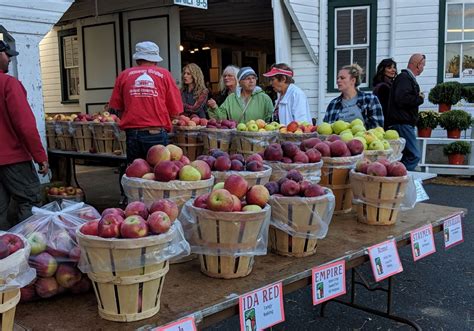Jump in the car and head to the Annual National Apple Harvest Festival at the South Mountain Fairgrounds, just 10 miles northwest of historic Gettysburg.