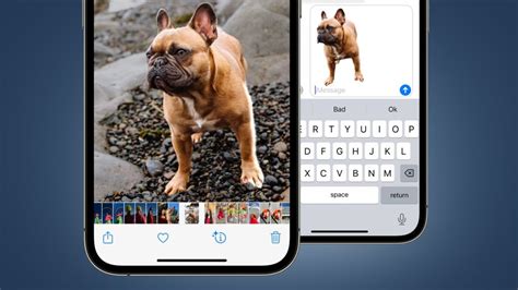 Apple has quietly built an automated Photoshop into iOS 16 TechRadar