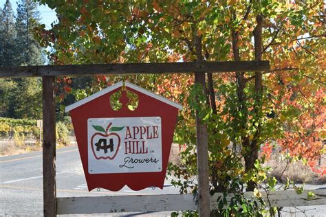 Apple hill farms. Explore fruit & veggie farms, wineries, B&Bs, flower gardens, and Christmas tree farms. Our winding roads and scenic beauty have been a popular destination for over 50 years. Come enjoy the … 