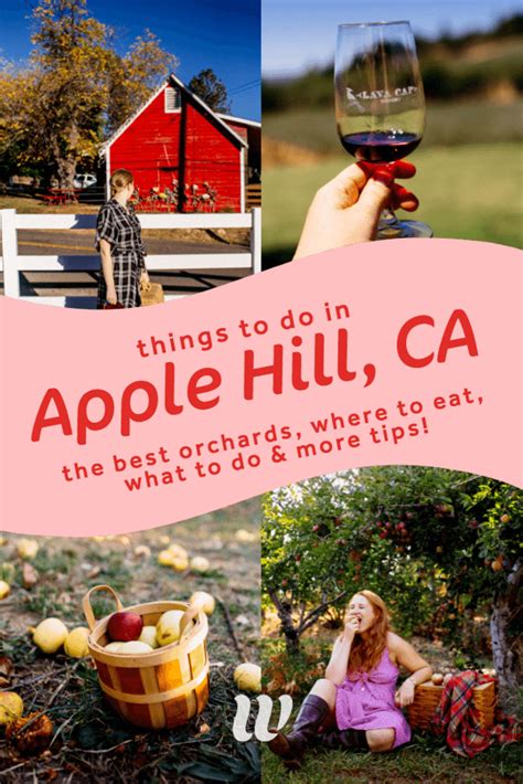 Apple hill hours. Things To Know About Apple hill hours. 
