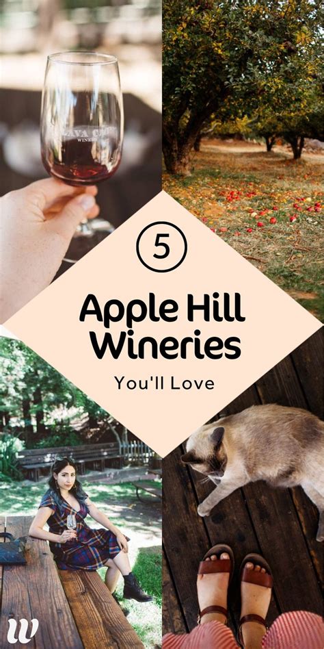 Apple hill wineries. Jul 23, 2020 · Kid-Friendly Apple Hill Wineries. There's over 10 Apple Hill wineries listed in this guide, and we go into details on which ones are the most welcoming … 