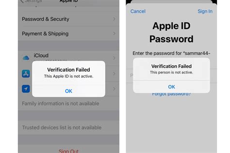 Apple id is not active. 129 1. Daughter's icloud account not active Set up an icloud account for my daughter a few days ago. It's showing up on her phone as the account. It's showing up on my phone under family sharing, but when she tried to log into it, it says the account ID or password is not correct. Tried to reset the password but it says the account is not active. 