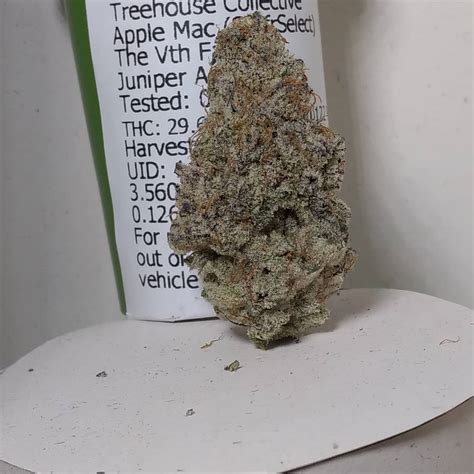 Apple mac strain. Granny Mac is a hybrid strain that has been gaining popularity in the cannabis community. It is a cross between Harlequin and Sour Tsunami, resulting in a strain that is high in CBD and low in THC. Granny Mac has a unique terpene profile that gives it a fruity aroma with hints of pine and earthy undertones. The effects of Granny Mac are calming ... 