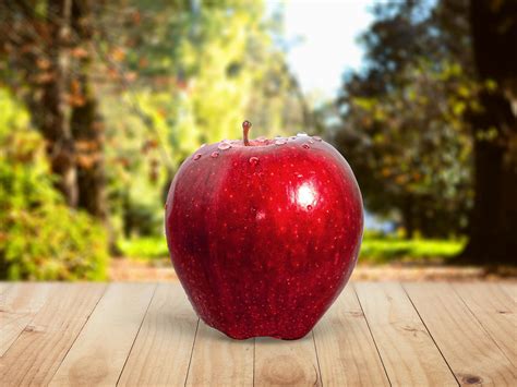 Apple photos. Learn more about the top apple varieties grown, sold and exported from the United States. While the U.S. grows more than 100 apple varieties, the following ... 
