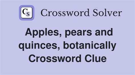 Apples And Pears Botanically Crossword Puzzle Clue