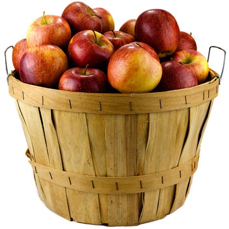 Apples in a bushel. Two medium apples are needed to yield 1 cup grated apples. Allow 2 pounds of apples for one 9-inch pie. One pound of apples will yield 3 cups diced apples or 2 3/4 cups of pared and sliced apples. One bushel of apples will yield 18-20 quarts of apple slices. Pre-Treatment. Pre-treatments prevent fruits from darkening. 
