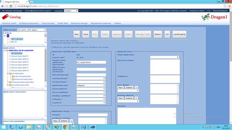 Application Rationalization Solution Dragon1