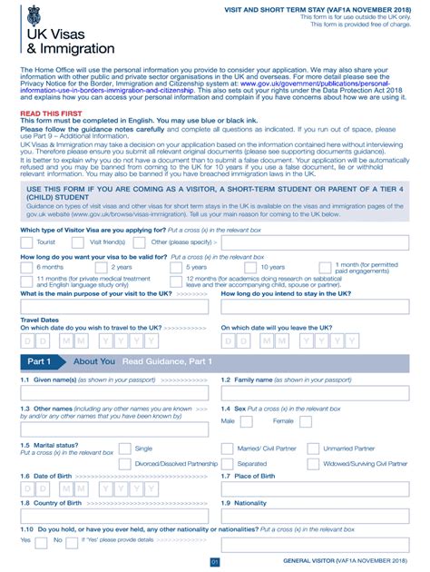 Application Visa Made Form Fill Out and Sign Printable PDF Template