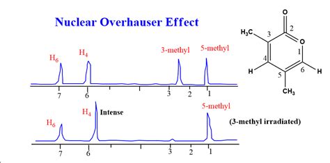 Application of 2D 6Li{1H} heteronuclear overhauser enhancement ...