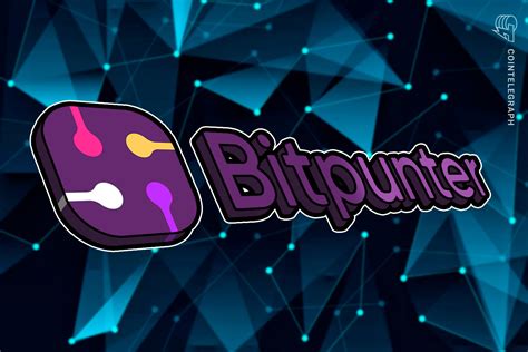 Application of Transaction Mining in Online Gaming: Bitpunter image 5