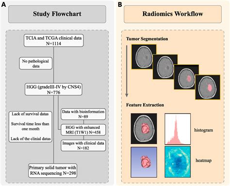 Application of colony-stimulating factor 3 in ... - ScienceDirect