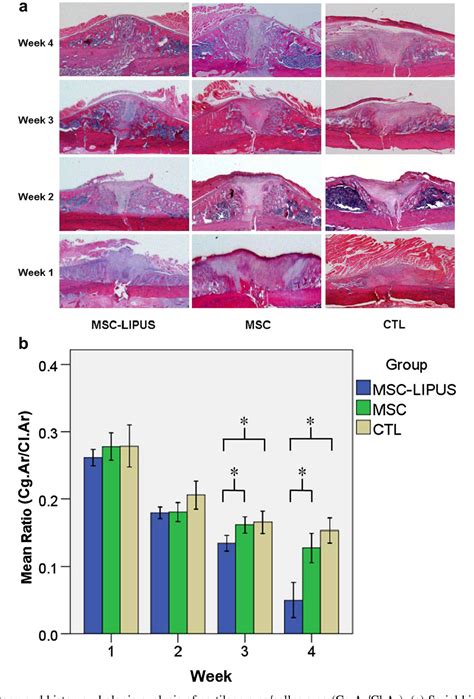 Applications of Exogenous Mesenchymal Stem Cells and Low …