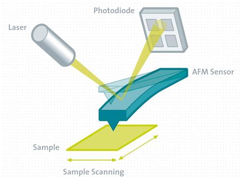 Applications of Scanning Probe Microscopy - Oxford Instruments