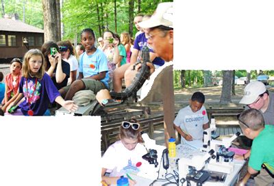 Apply for Camp - Halberg Ecology Camp