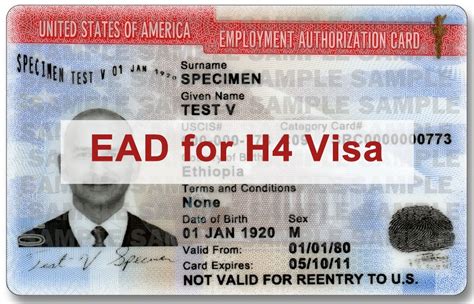 Applying for an H4 Visa Before Marriage: Everything You Need to …