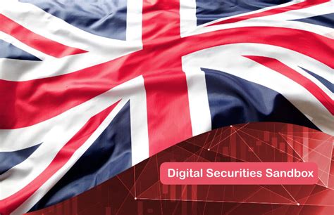 Applying to the Digital Securities Sandbox: Key Considerations